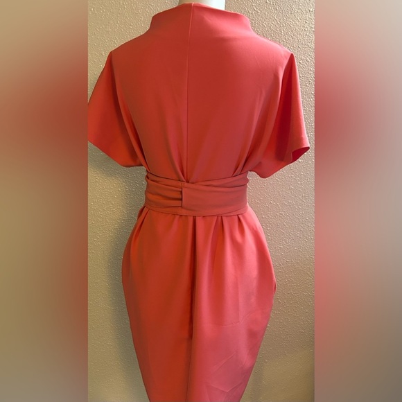 Elegant Pink Midi Dress - Picture 4 of 10